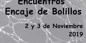 Encuentros de Encaje de Bolillos Noviembre 2019